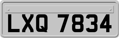 LXQ7834