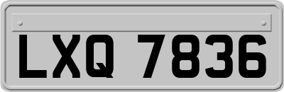LXQ7836