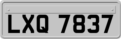 LXQ7837