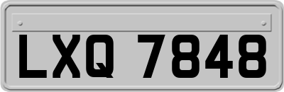 LXQ7848