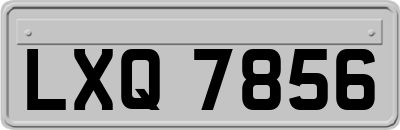 LXQ7856