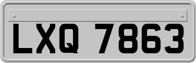 LXQ7863