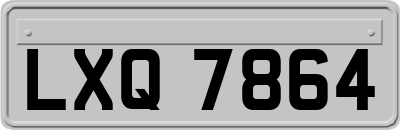 LXQ7864