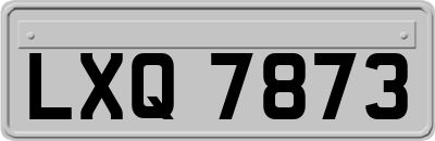 LXQ7873