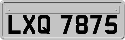 LXQ7875