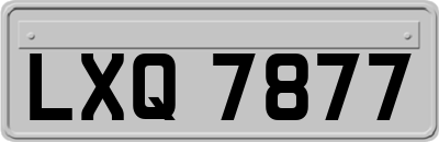 LXQ7877