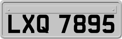 LXQ7895
