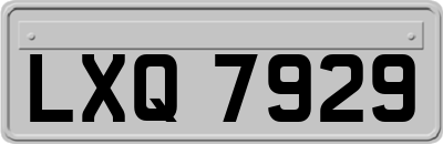 LXQ7929