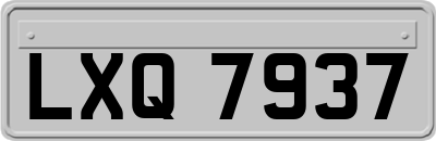 LXQ7937