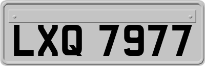 LXQ7977