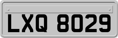 LXQ8029