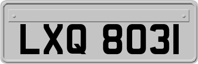 LXQ8031