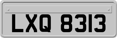 LXQ8313