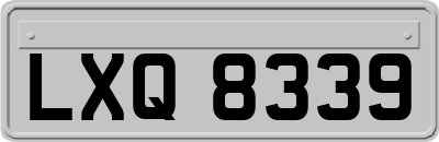 LXQ8339