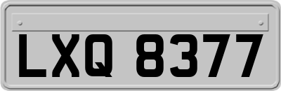 LXQ8377