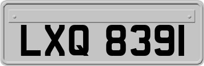 LXQ8391