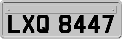 LXQ8447