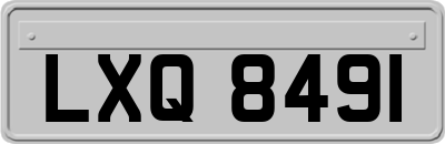 LXQ8491