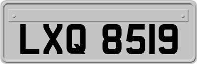 LXQ8519