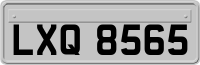 LXQ8565