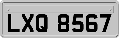 LXQ8567