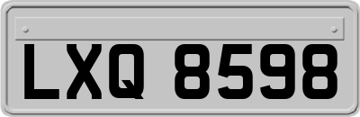 LXQ8598