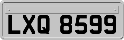 LXQ8599
