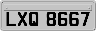 LXQ8667