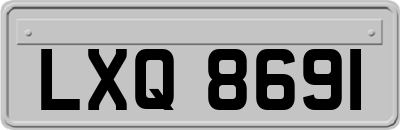 LXQ8691