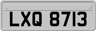 LXQ8713