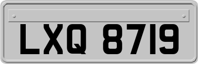 LXQ8719