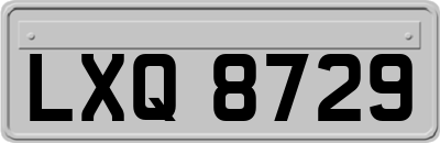LXQ8729