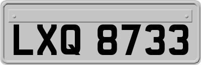 LXQ8733