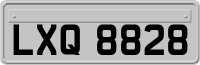 LXQ8828