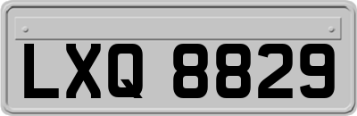 LXQ8829