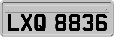 LXQ8836