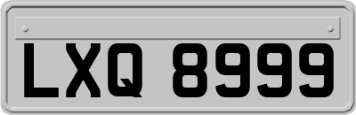 LXQ8999