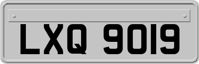 LXQ9019