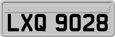 LXQ9028