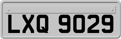 LXQ9029