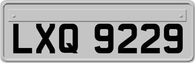 LXQ9229