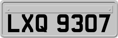 LXQ9307