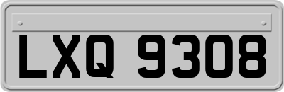 LXQ9308