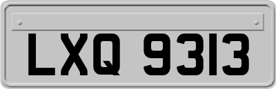 LXQ9313