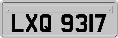 LXQ9317