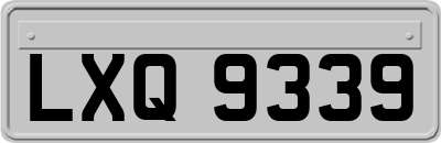 LXQ9339