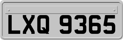 LXQ9365