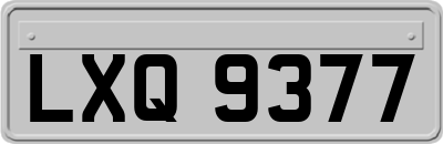 LXQ9377