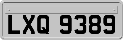 LXQ9389