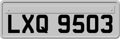 LXQ9503